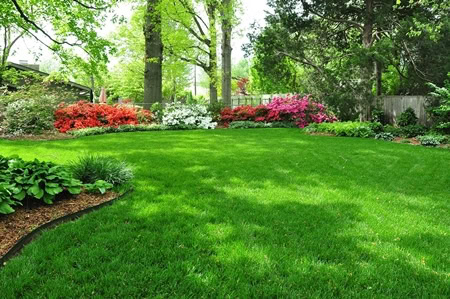 Beautiful landscaped backyard with vibrant flowers and well-maintained grass.