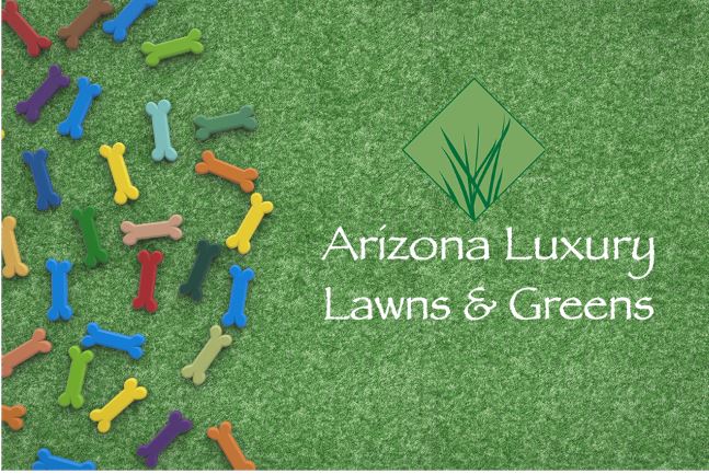 Artificial grass with colorful dog bones for pet-friendly lawns.