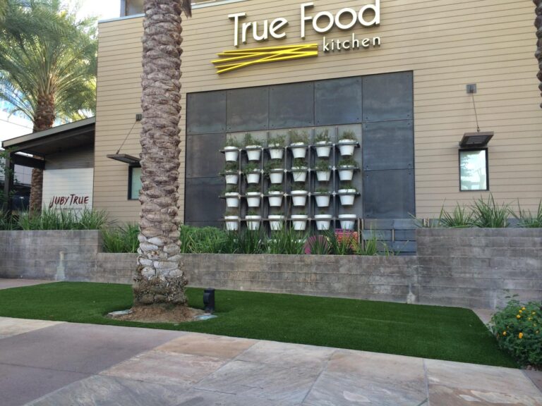 Exterior of True Food Kitchen with decorative plant wall and palm trees.