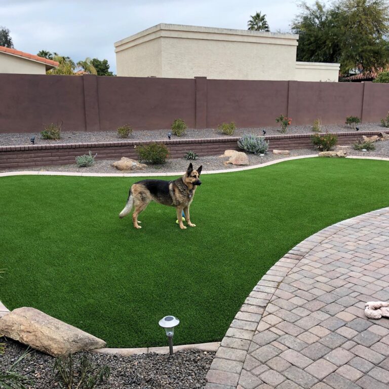 Lush green pet-friendly artificial turf in a backyard with a German Shepherd dog.