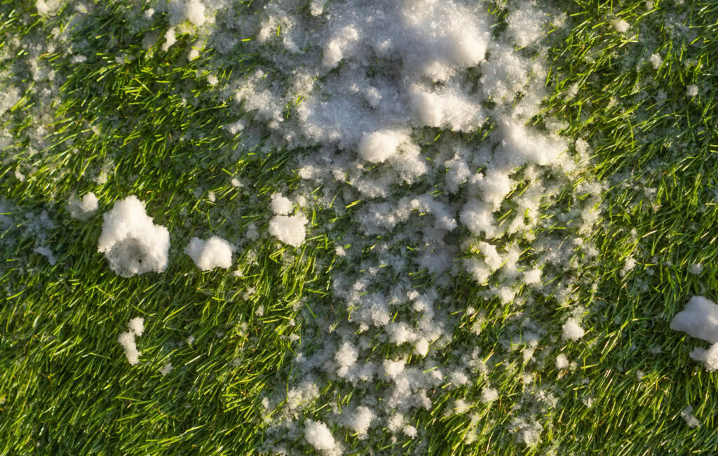 Snow on green artificial turf lawn in Arizona.