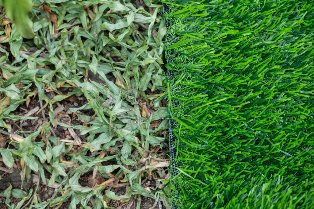 Close-up of natural grass and artificial turf side by side.