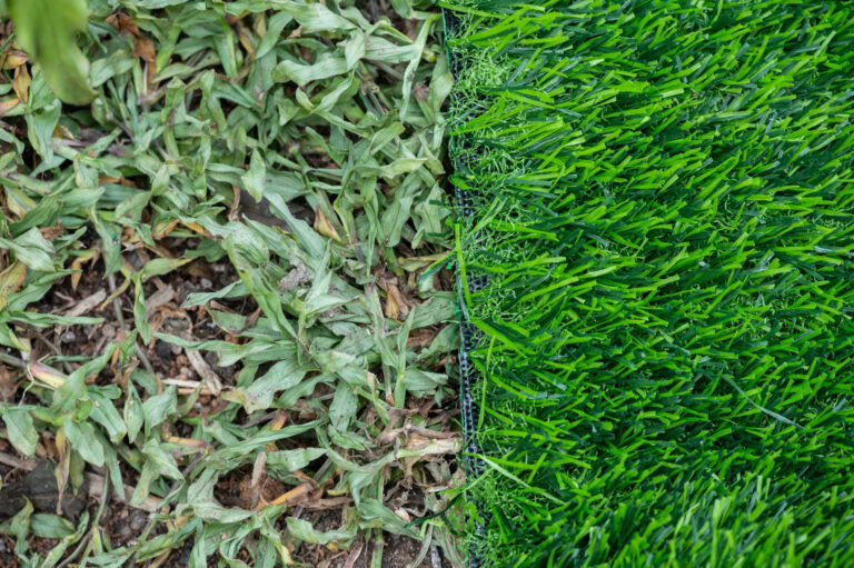 Close-up of natural grass and artificial turf side by side.