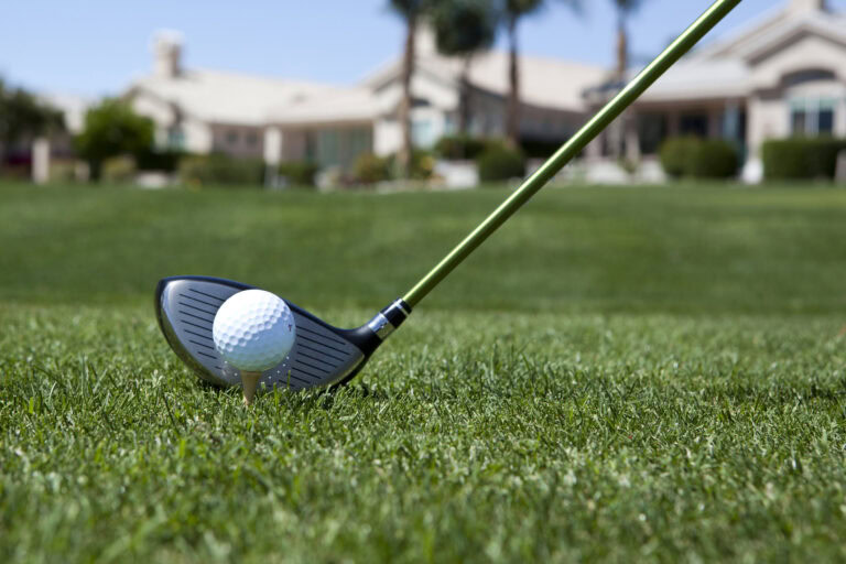 Golf club and golf ball on artificial grass putting green in backyard.