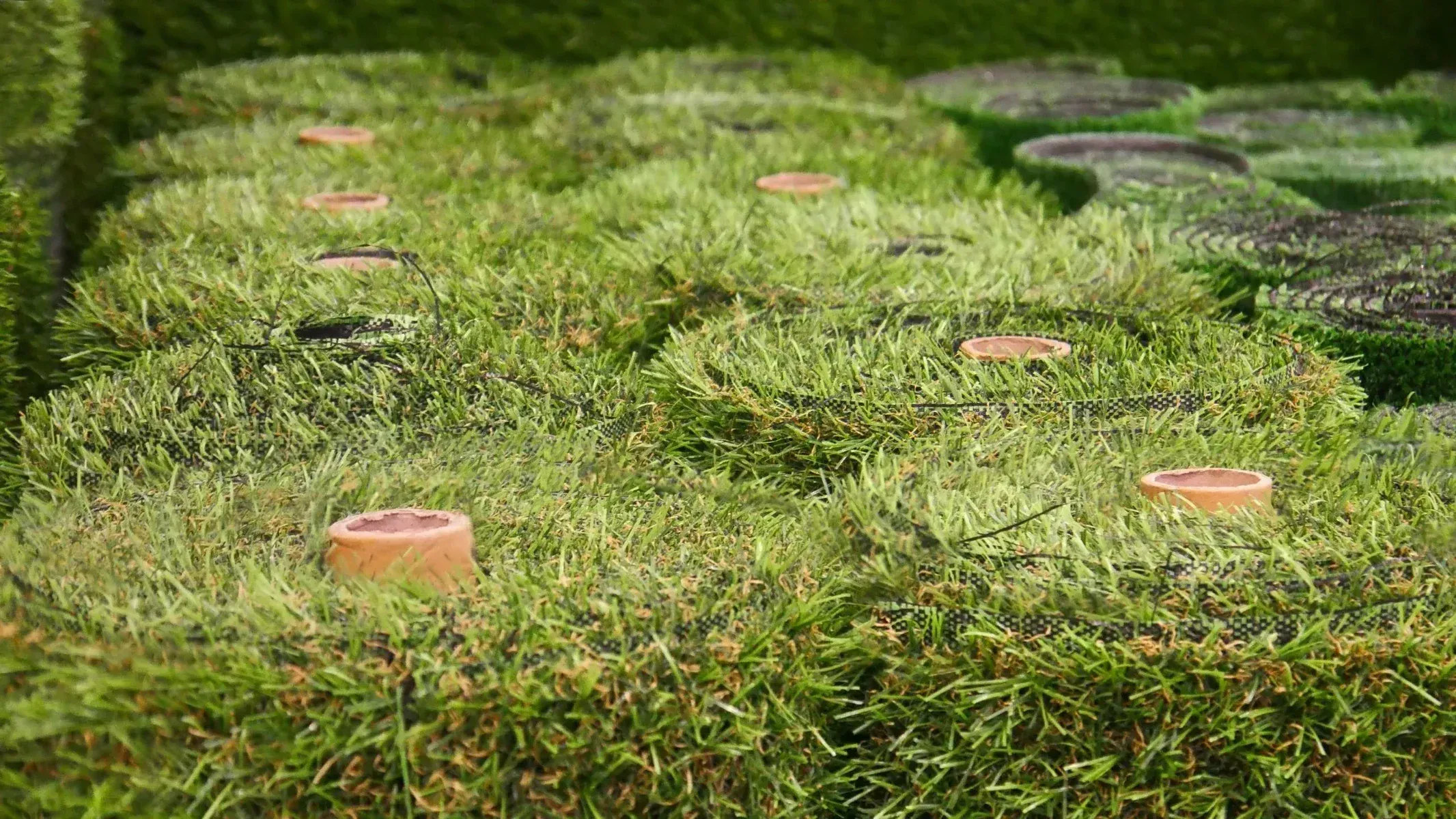 What’s the Difference Between Pet Turf, Putting Green Turf, and Landscape Turf? A Guide for Arizona Homeowners