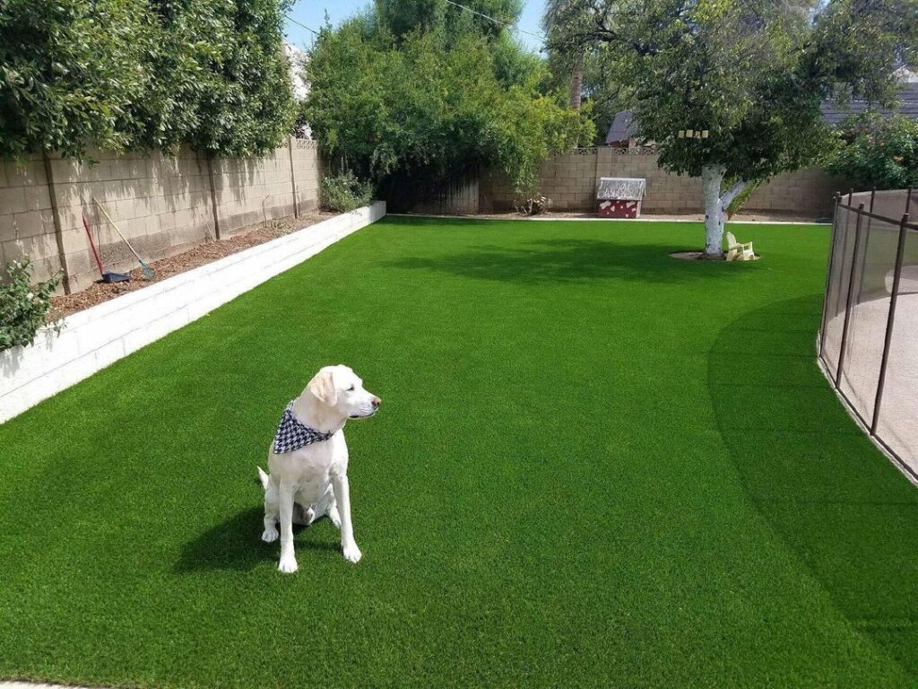 Arizona Luxury Lawns turf installation