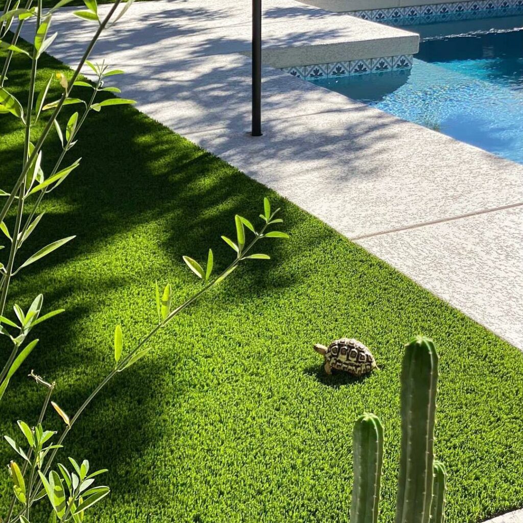 Arizona Luxury Lawns turf installation