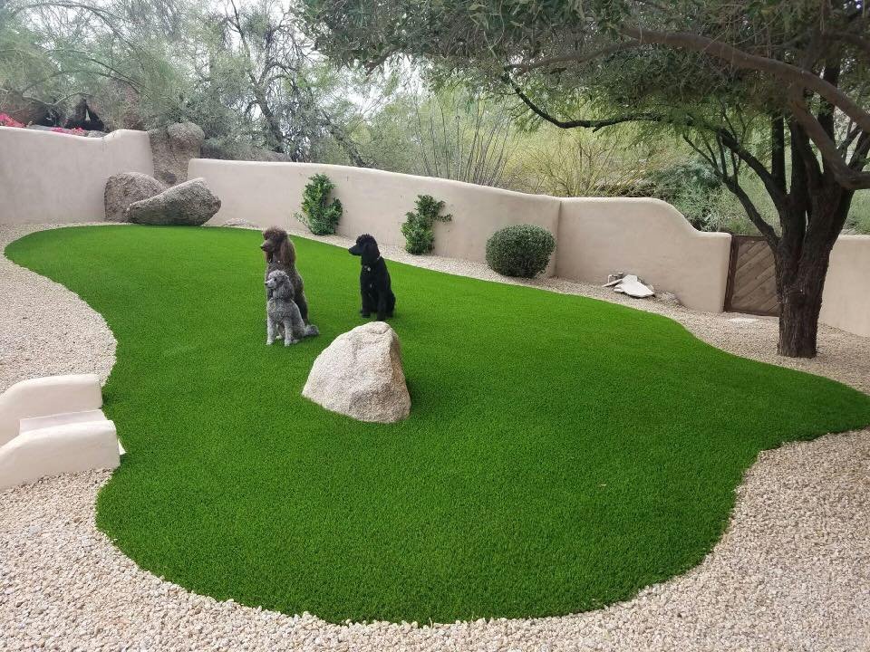 Pet Turf installation