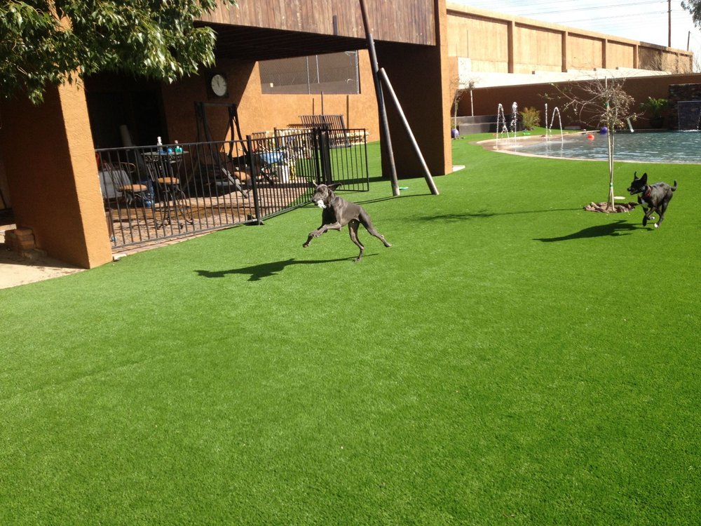 Pet Turf installation