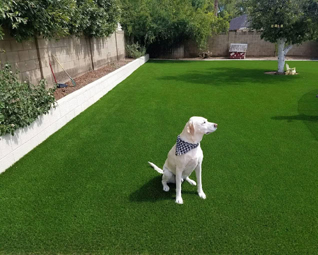 Pet Turf installation