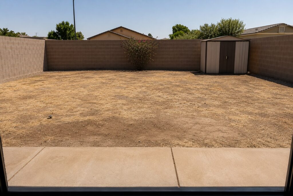 Before: yard before turf installation