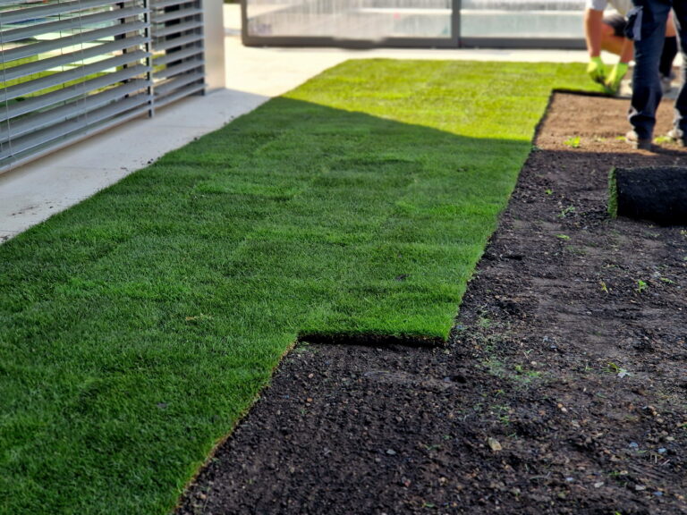 How Much Water Can Arizona Homeowners Save With Synthetic Grass Installation? A Complete Resource