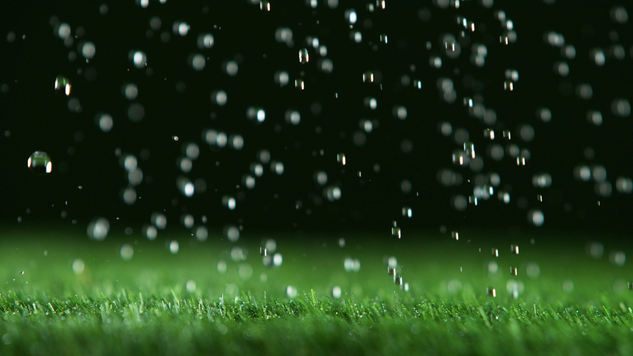 What To Know About Artificial Grass in Arizona’s Monsoon Season